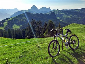 Hummel (Blick auf den Sihlsee)