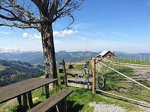 Auf der Alpwirtschaft Wildegg 