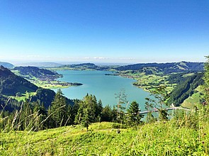 Hummel (Blick auf den Sihlsee)